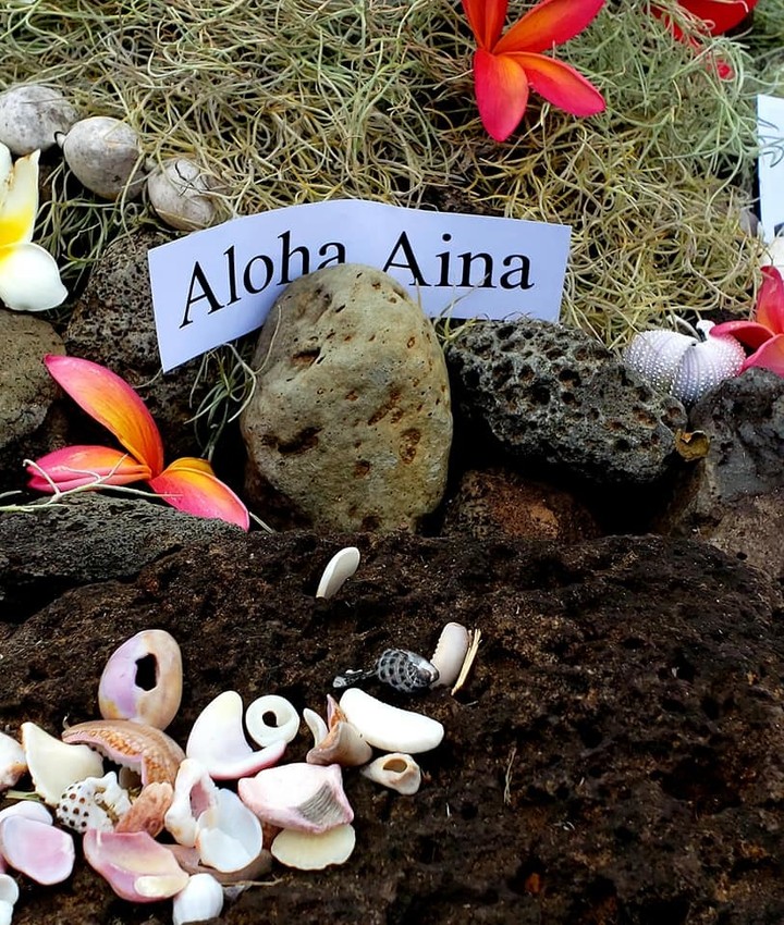 Mālama Mākua