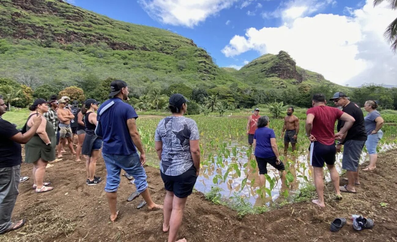 Kulāiwi Land Trust